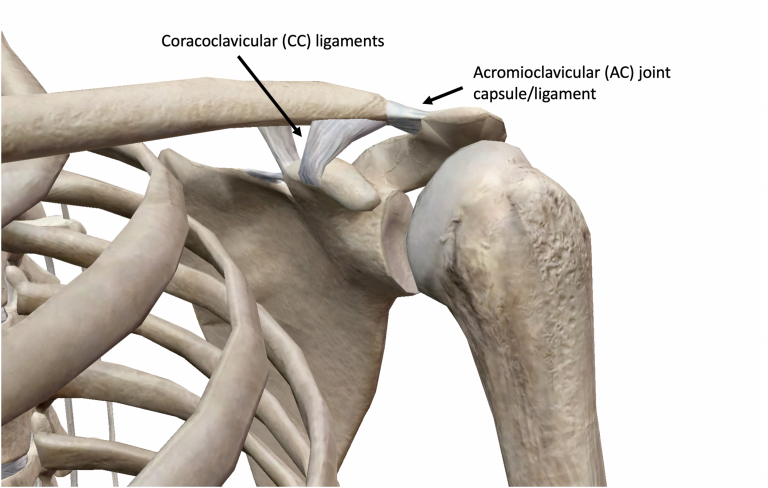 Normal Acj Acromio-Clavicular Joint Injury - Chadstone Region Osteopathy