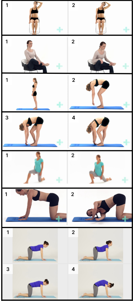 Read more about the article Daily Stretching Routine