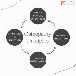 Osteopathy Principles - Chadstone Region Osteopathy