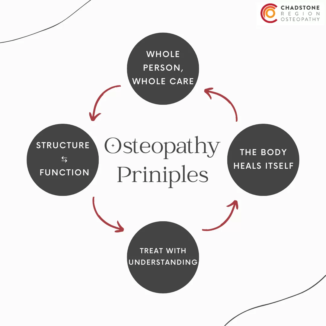 Read more about the article How Osteopathy Aligns with Modern Pain Science